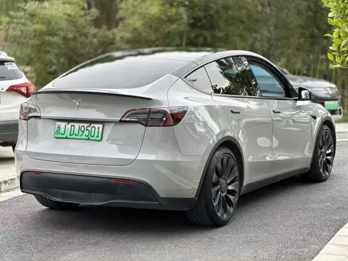 Model Y 2022 Model Performance High performance All-wheel drive version – фото 4