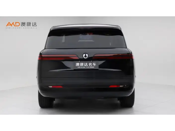 DENZA N9 DM 2025 Model Flagship Model – фото 3