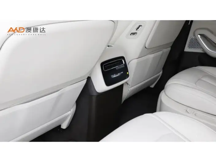 DENZA N9 DM 2025 Model Flagship Model – фото 6
