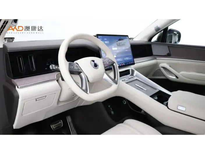 DENZA N9 DM 2025 Model Flagship Model – фото 8