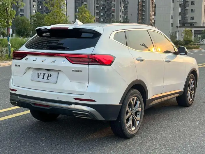 Haval H6 2021 Model Guo Trendy Edition 1.5T Automatic Champion Edition – фото 6