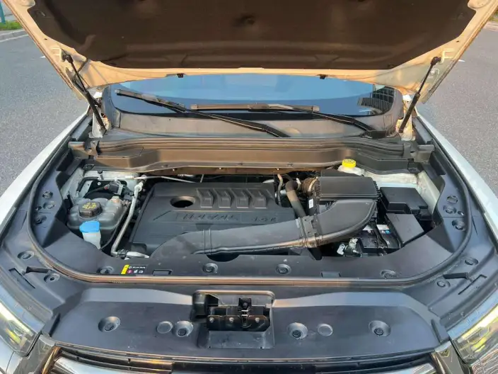 Haval H6 2021 Model Guo Trendy Edition 1.5T Automatic Champion Edition – фото 7