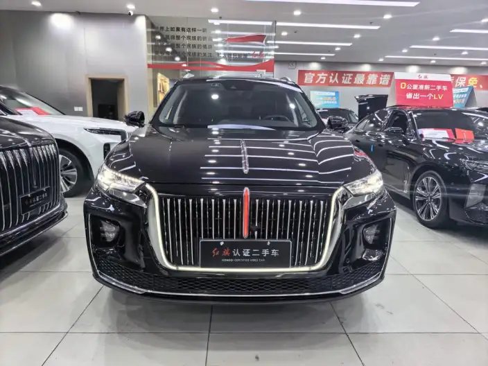 Hongqi HS5 2022 Model 2.0T Smart Flag Enjoy 4WD Edition – фото 2