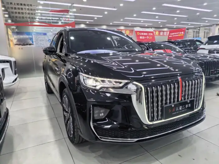 Hongqi HS5 2022 Model 2.0T Smart Flag Enjoy 4WD Edition – фото 3