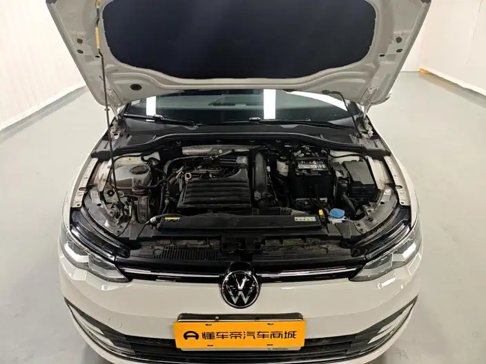 Volkswagen Golf 2021 Model 280TSI DSG Pro – фото 10