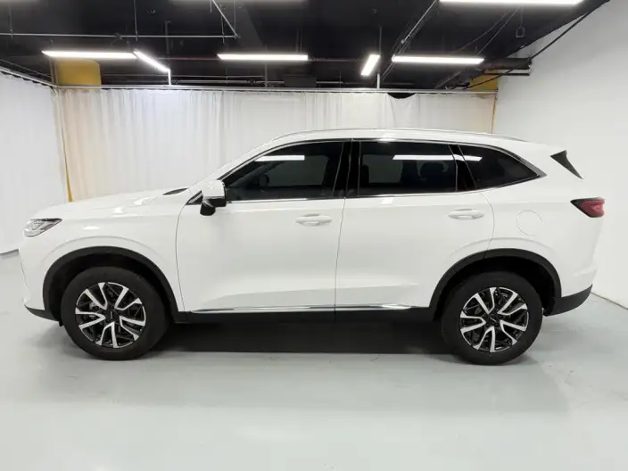 Haval H6 2024 Model 1.5T Automatic 2WD Classic Edition – фото 4