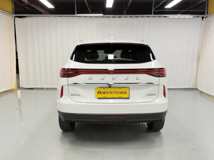Haval H6 2024 Model 1.5T Automatic 2WD Classic Edition – фото 6