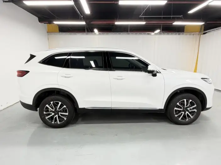 Haval H6 2024 Model 1.5T Automatic 2WD Classic Edition – фото 8