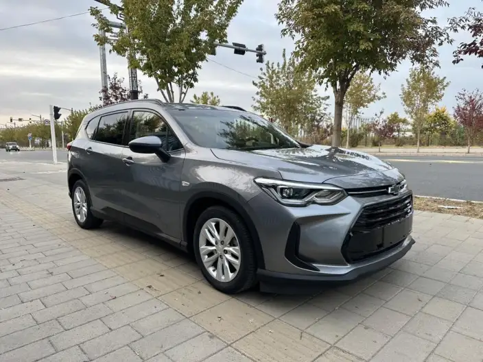 Orlando 2020 Model Mild Hybrid 530T Jinxiang Edition （5+2 Model ）