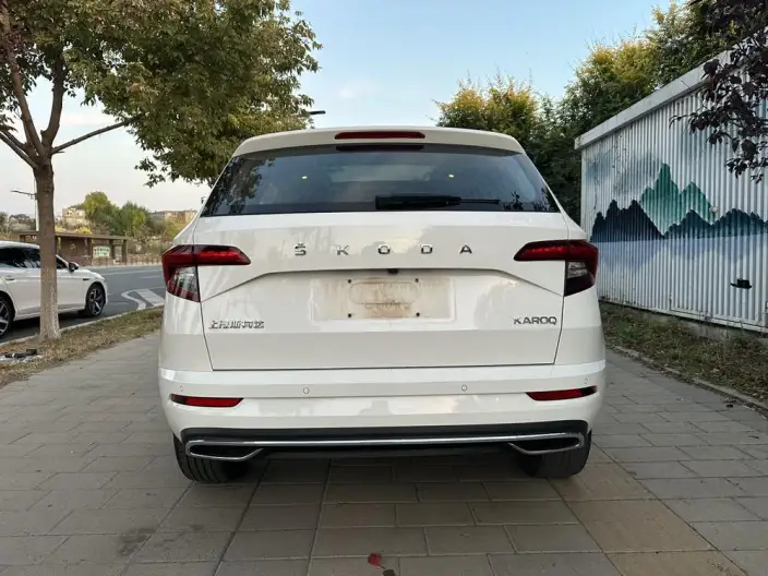 Karoq 2022 Model TSI280 Luxury Edition – фото 5