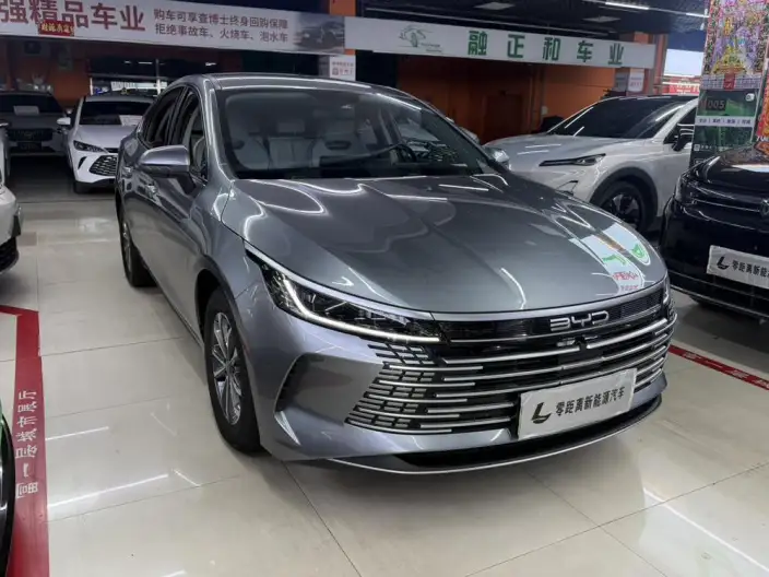 BYD Destroyer 05 2024 Model Honor Edition DM-i 55KM Luxury Model – фото 3