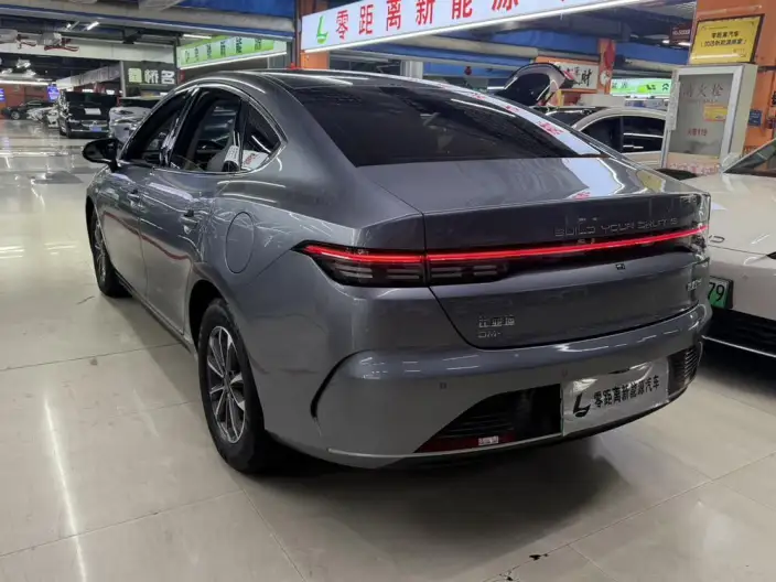 BYD Destroyer 05 2024 Model Honor Edition DM-i 55KM Luxury Model – фото 4