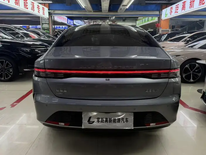 BYD Destroyer 05 2024 Model Honor Edition DM-i 55KM Luxury Model – фото 5