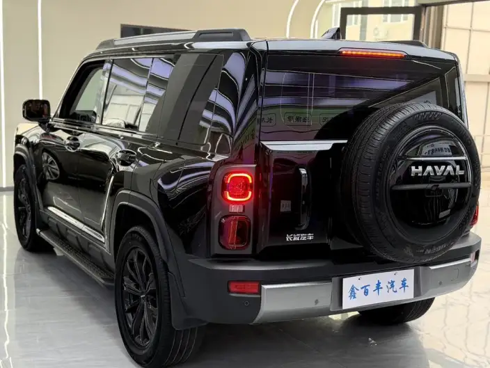 HAVAL Menglong PHEV 2024 Model 1.5T Hi4 102 Pro – фото 4