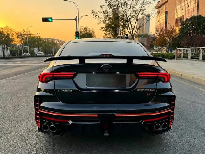 Emzoom 2022 Model 270T J16 R-Style Track Edition – фото 4