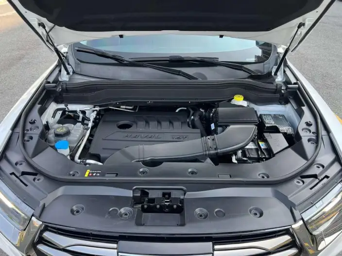 Haval H6 2021 Model Guo Trendy Edition 1.5T Automatic Champion Edition – фото 7