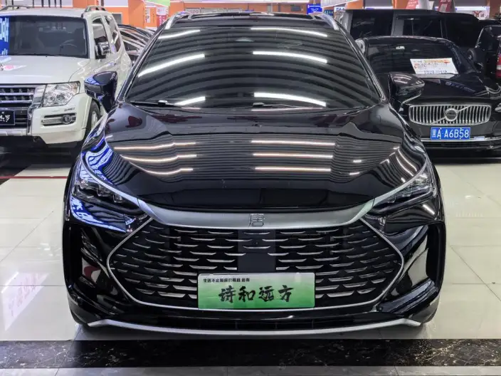 BYD Tang DM 2025 Model DM-i 115KM Zunrong Model – фото 2