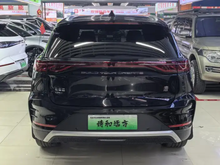 BYD Tang DM 2025 Model DM-i 115KM Zunrong Model – фото 5