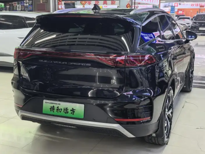 BYD Tang DM 2025 Model DM-i 115KM Zunrong Model – фото 6