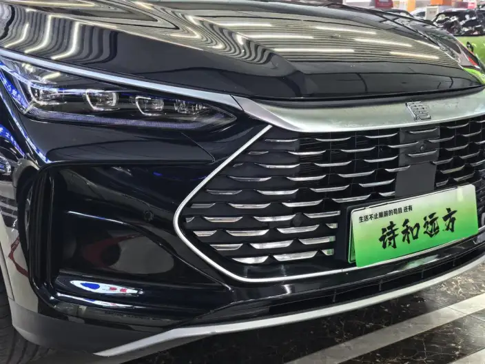 BYD Tang DM 2025 Model DM-i 115KM Zunrong Model – фото 7