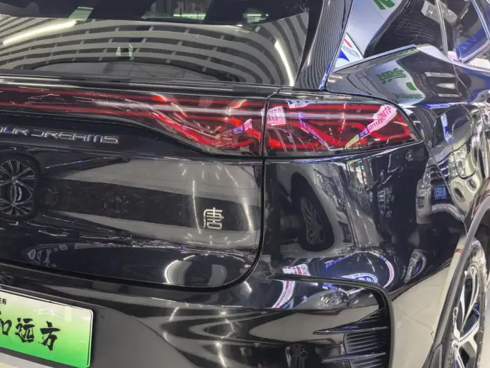 BYD Tang DM 2025 Model DM-i 115KM Zunrong Model – фото 8