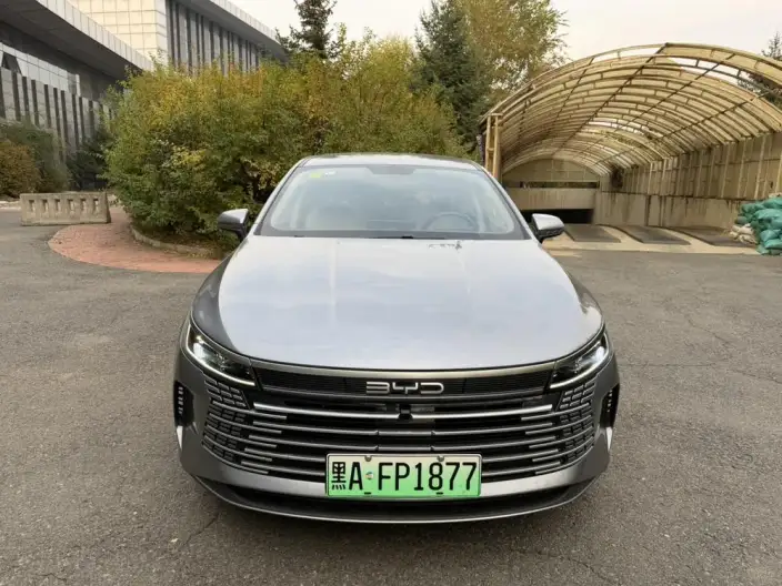 BYD Destroyer 05 2025 Model DM-i 55KM Smooth Ride Edition – фото 2