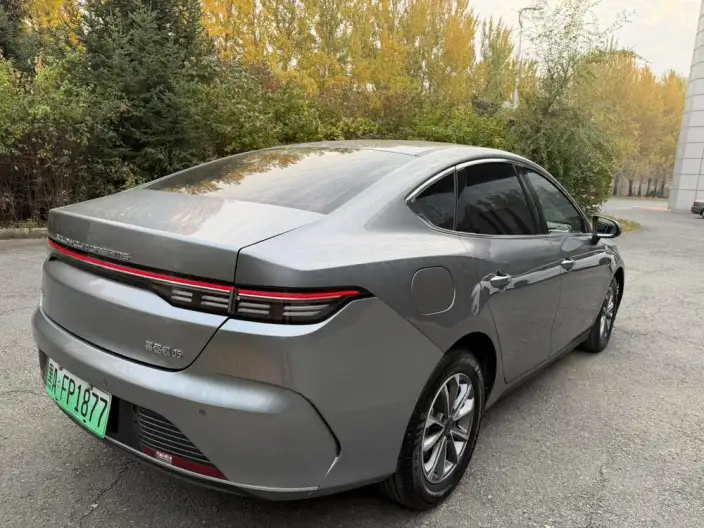 BYD Destroyer 05 2025 Model DM-i 55KM Smooth Ride Edition – фото 5