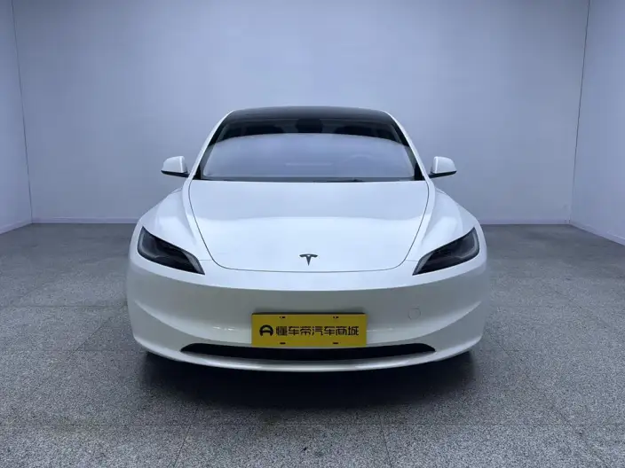 Model 3 2025 Model Facelift Rear-wheel drive version – фото 2