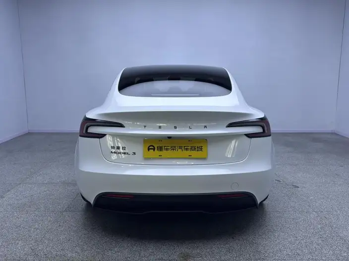 Model 3 2025 Model Facelift Rear-wheel drive version – фото 6