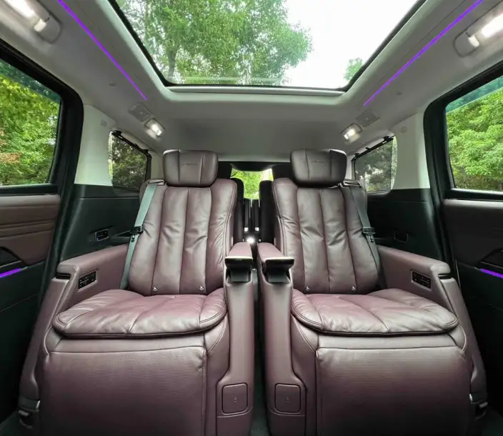Century 2025 Model 2.0T VI seat Yunshi Edition – фото 9