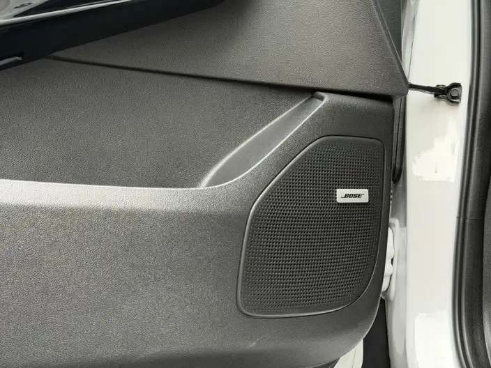 Century 2025 Model 2.0T VI seat Yunshi Edition – фото 10