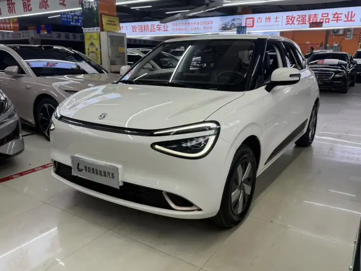 Dongfeng Nano 01 2025 Model 330km Youth Edition