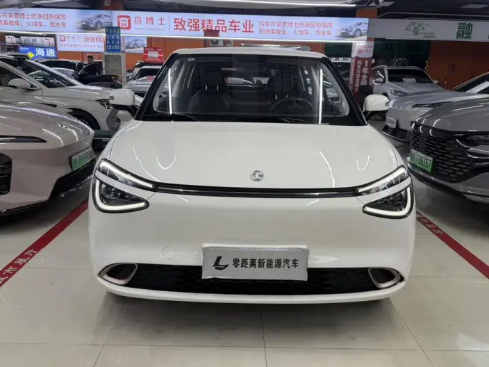 Dongfeng Nano 01 2025 Model 330km Youth Edition