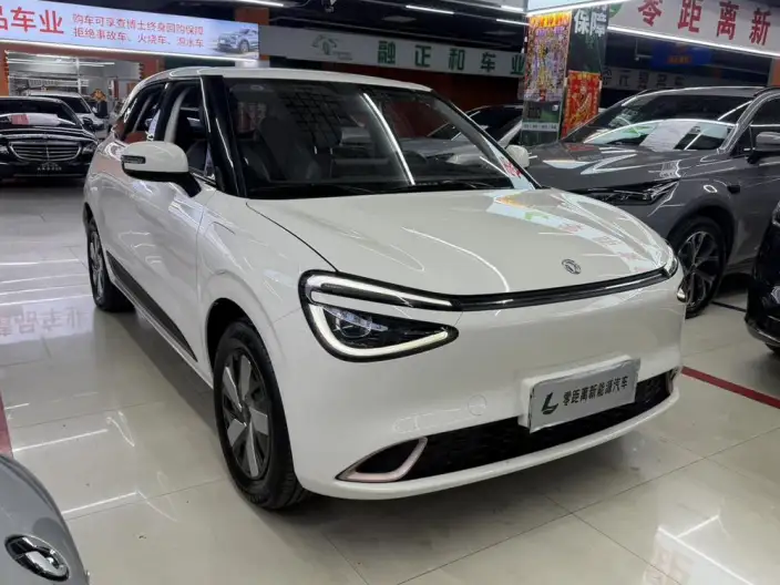 Dongfeng Nano 01 2025 Model 330km Youth Edition