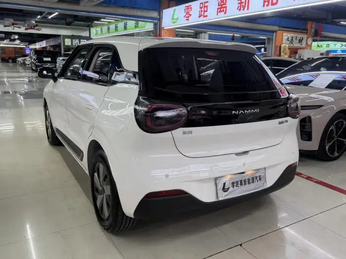 Dongfeng Nano 01 2025 Model 330km Youth Edition