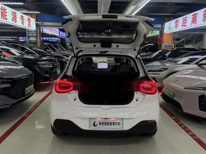 Dongfeng Nano 01 2025 Model 330km Youth Edition – фото 7