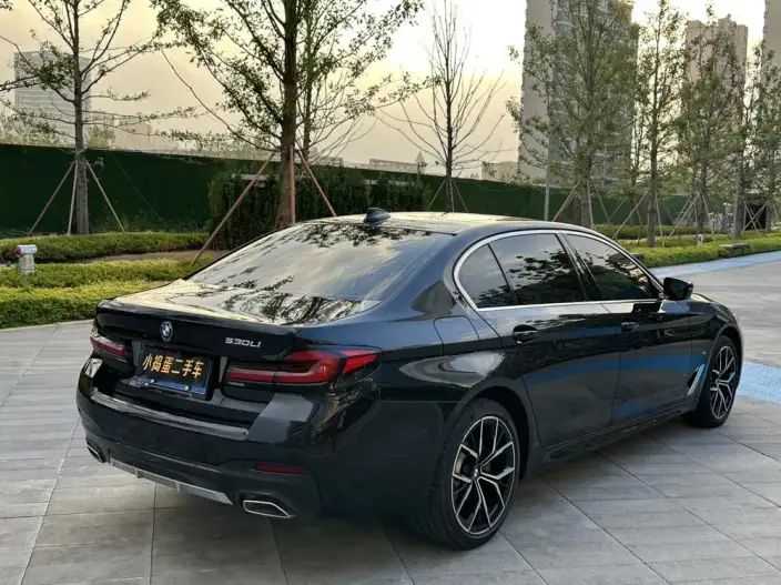 BMW 5 Series 2022 Model 530Li Exclusive Model M Sports Set – фото 7