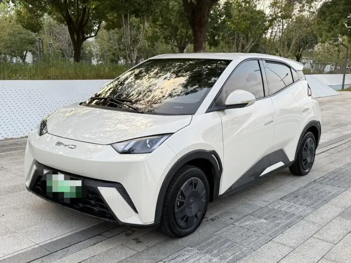 BYD Seagull 2023 Model Free Edition – фото 1