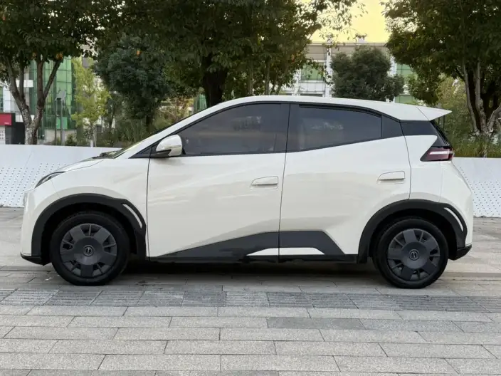 BYD Seagull 2023 Model Free Edition – фото 3