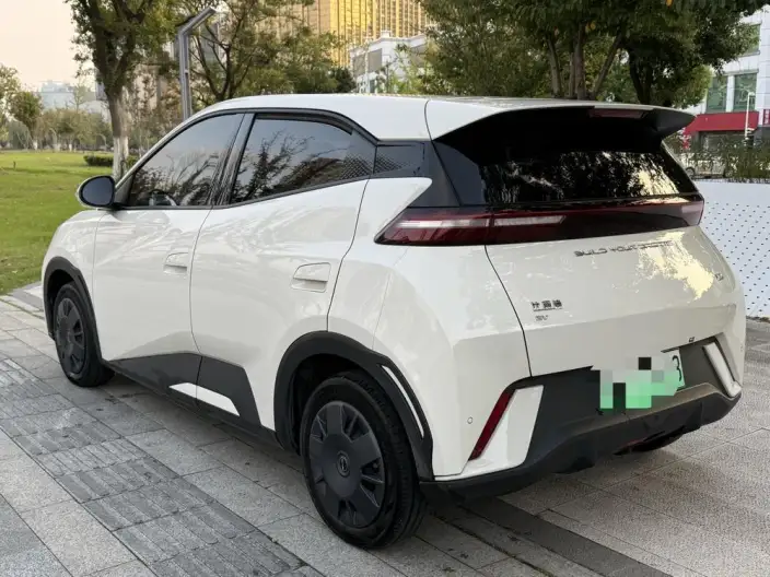 BYD Seagull 2023 Model Free Edition – фото 4