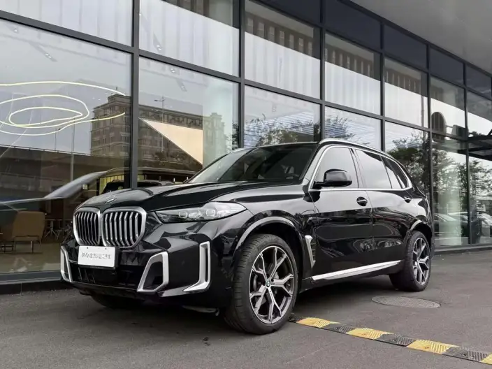 BMW X5 2023 Model xDrive30Li Exclusive Model M Sports Set – фото 1