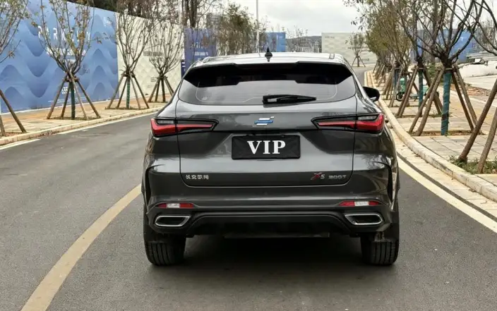 Changan Oshan X5 2021 Model 1.5T DCT Elite Model – фото 6