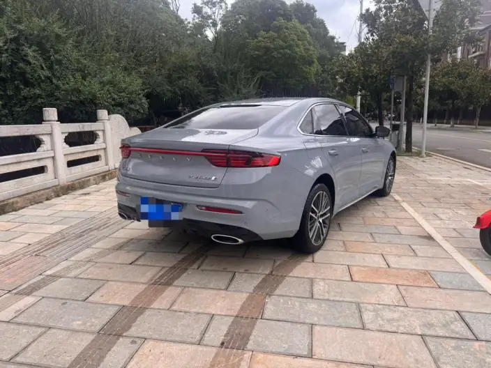 Geely StarRui 2023 Model 2.0T Noble Model – фото 6