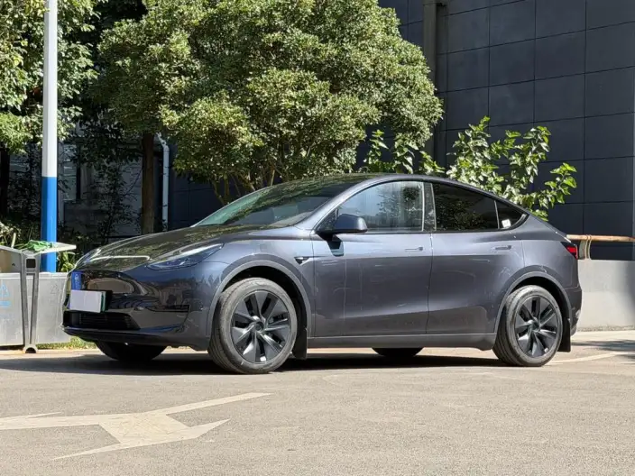 Model Y 2024 Model Rear-wheel drive version – фото 1