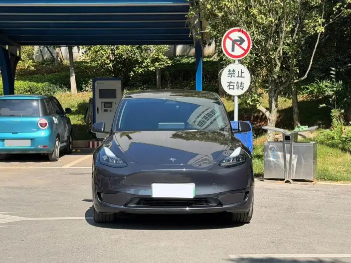Model Y 2024 Model Rear-wheel drive version – фото 2