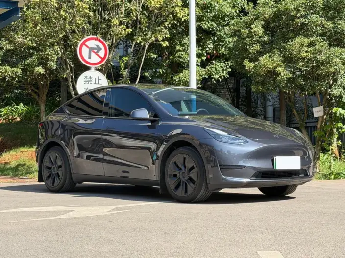 Model Y 2024 Model Rear-wheel drive version – фото 3