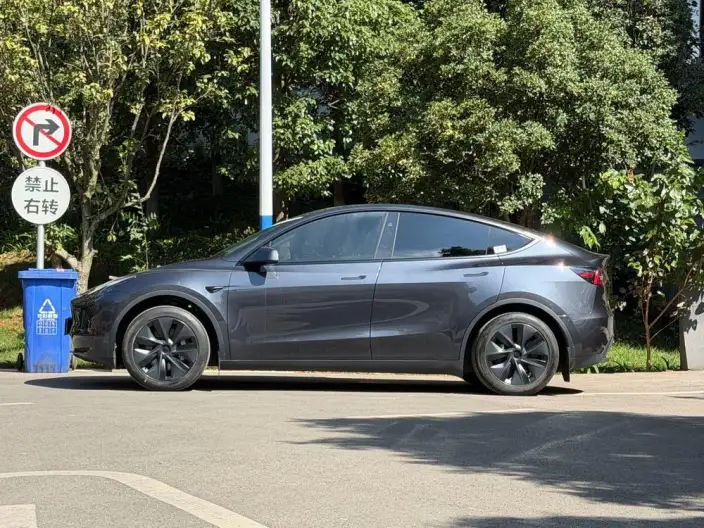Model Y 2024 Model Rear-wheel drive version – фото 4