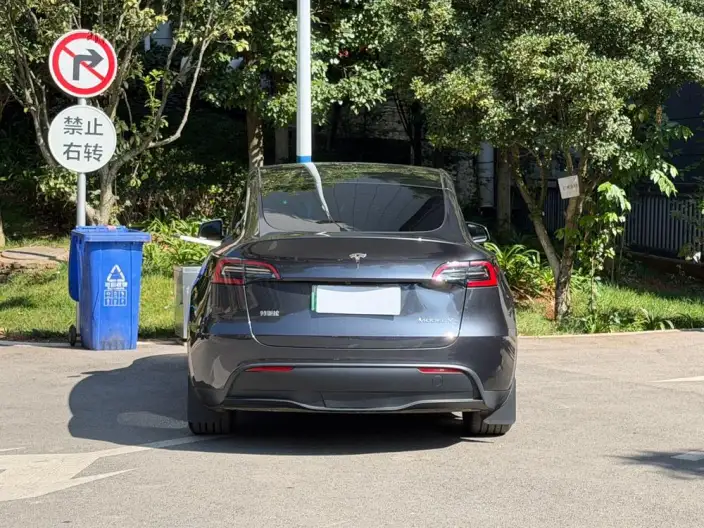 Model Y 2024 Model Rear-wheel drive version – фото 6