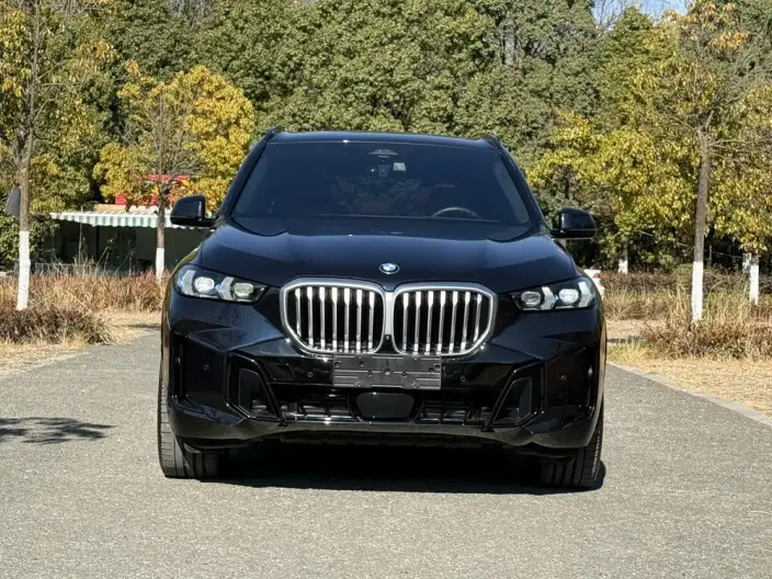 BMW X5 2023 Model xDrive40Li M Sports Night Set – фото 2