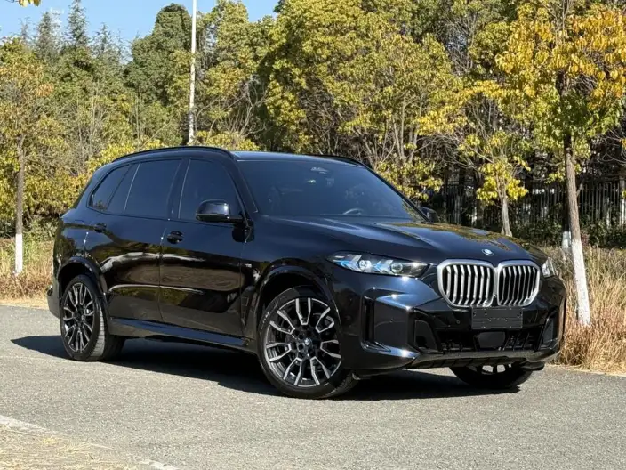 BMW X5 2023 Model xDrive40Li M Sports Night Set – фото 3
